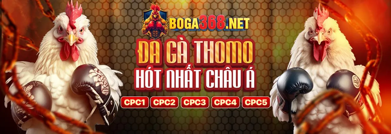 Đá gà trực tuyến okvip day - Sân đấu đỉnh cao